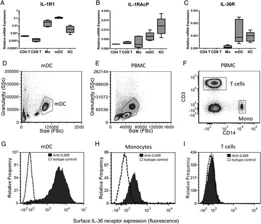FIGURE 3. Human APC, but not T cells, express the IL-36R. KC, monocytes, and mDC express IL-1R1, IL-1RAcP, and IL-36R mRNA transcripts; however, CD4+ and CD8+ T cells were found not to express IL-36R as determined by QRT-PCR (A–C) (n = 4 donors). Flow cytometric analysis reveals that, in contrast to mDC (D and G) and monocytes (E, F, and H), T cells (E, F, and I) did not express surface IL-36R. Filled histogram: anti–IL-36R; dotted histogram: isotype control Ab. Flow cytometry gating shown in (D)–(F). Flow cytometry data are representative of six donors.