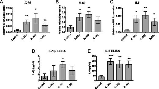 FIGURE 4. IL-36 cytokines induce monocyte expression of inflammatory cytokines. Monocytes treated with 100 ng/ml IL-36 cytokines for 12 h upregulate IL-1A, IL-1B, and IL-6, cytokine transcripts (n = 9 donors) (A–C). Significantly elevated levels of IL-1β and IL-6 were detected in the conditioned culture media after 12 h (n = 6 donors) (D and E). Bars, mean ± SEM. Statistical significance indicated by *p < 0.05, **p < 0.01, ***p < 0.001 (two-tailed t test).