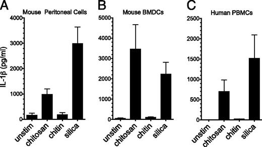 FIGURE 2. Chitosan, but not chitin, induces IL-1β release from mouse peritoneal macrophages, BMDCs and human PBMCs. Mouse peritoneal macrophages (A) and BMDCs (B) were plated, primed, and stimulated as in Fig. 1C. For peritoneal cells, p < 0.05 comparing chitosan with unstimulated and silica with unstimulated as analyzed by one-way ANOVA. For BMDCs, p < 0.01 comparing chitosan with unstimulated as analyzed by one-way ANOVA. (C) Human PBMCs were plated at 5 × 106/well in a 24-well plate, primed with 50 pg/ml LPS, and then stimulated overnight (same stimuli concentrations as in Fig. 1C). Supernatants were collected and analyzed by ELISA for IL-1β. Data are means ± SE of three independent experiments, each performed in triplicate. p < 0.001 comparing unstimulated with chitosan and silica as analyzed by Kruskal–Wallis test.