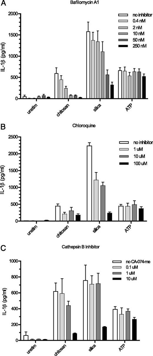 FIGURE 7. Lysosomal destabilization is required for NLRP3 inflammasome activation by chitosan. BMMΦ (1 × 105/well) were primed for 2 h with 100 ng/ml LPS. (A) Bafilomycin A1 (0.4, 2, 10, 50, or 250 nM), (B) chloroquine (1, 10, or 100 μM), and (C) Ca-074-me (0.1, 1, or 10 μM) were added to the wells receiving inhibitor 1 h before addition of the following stimuli: chitosan (0.1 mg/ml), silica (0.1 mg/ml), and ATP (5 mM). Control wells were left unstimulated (unstim). After a 6-h stimulation period, supernatants were collected and analyzed for IL-1β by ELISA. For bafilomycin A1, p < 0.01 comparing 10, 50, and 250 μM with no inhibitor with chitosan stimulation, p < 0.05 comparing 10 μM with no inhibitor with silica stimulation, and p < 0.0001 comparing 50 and 250 μM with no inhibitor with silica stimulation. For chloroquine, p < 0.0001 comparing any inhibitor concentration with no inhibitor in the presence of silica. For CA-074-me, p < 0.001 comparing 10 μM with no inhibitor in the presence of chitosan or silica. Comparisons are by two-way ANOVA. Data are means ± SE of three independent experiments, each performed in triplicate.