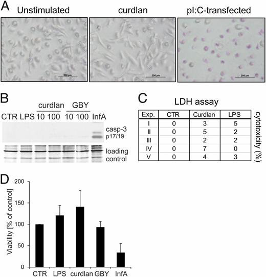 Dectin1 Pathway Activates Robust AutophagyDependent Unconventional