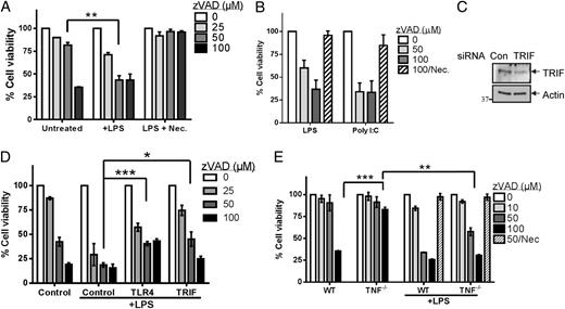 FIGURE 2. LPS stimulation induces TNFR–independent, TRIF-dependent necroptosis. (A) Macrophages were treated with LPS (10 ng/ml) in combination with various concentrations of zVAD as shown, with or without the addition of necrostatin. Cell viability was assessed after 24 h by MTT assay. (B) Macrophages were treated with either 10 ng/ml of LPS or Poly I:C at the same time as varying concentrations of zVAD as shown. After 24 h, viability was measured by MTT assay. (C) J774 macrophage cells were transfected with TRIF, TLR4, or untargeted control siRNA for 24 h, after which a sample of lysates was examined for TRIF knockdown. (D) siRNA-transfected cells were then treated with various concentrations of zVAD and LPS, and incubated for an additional 24 h. Cell viability was then measured using MTT assay. (E) Macrophages were derived from WT or TNFR1/2−/− mice and treated with LPS and various concentrations of zVAD as shown. After 24 h, cell viability was examined via the MTT assay. Graphs show cell viability relative to controls without zVAD. All experiments were performed a minimum of three times in duplicate. ***p < 0.0001, **p < 0.005, *p < 0.05.