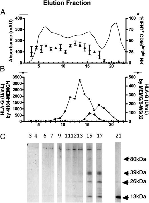 FIGURE 10. (A) UV280 absorbance and NK cell IFN-γ–stimulating activity of column fractions used to purify rHLA-G. Triangles show mean ± SEM of duplicate wells. (B) Concentration of β2m-free HLA-G (4H84-MEMG/1) and β2m-associated HLA-G (MEM-G9-W6/32) in column fractions. (C) Nondenaturing PAGE gel of column fractions. Arrows indicate sizes of HLA-G dimer, HLA-G monomer, HLA-G H chain alone, and β2m.