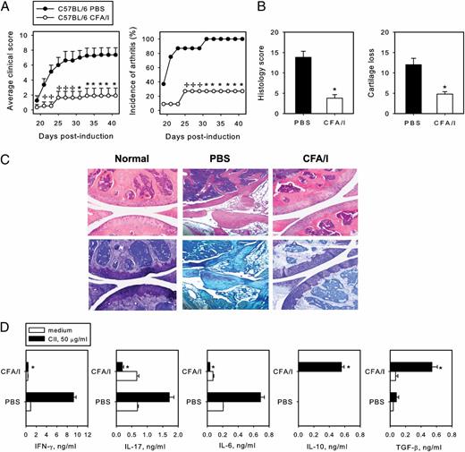 Oral Escherichia coli Colonization Factor Antigen I Fimbriae Ameliorate