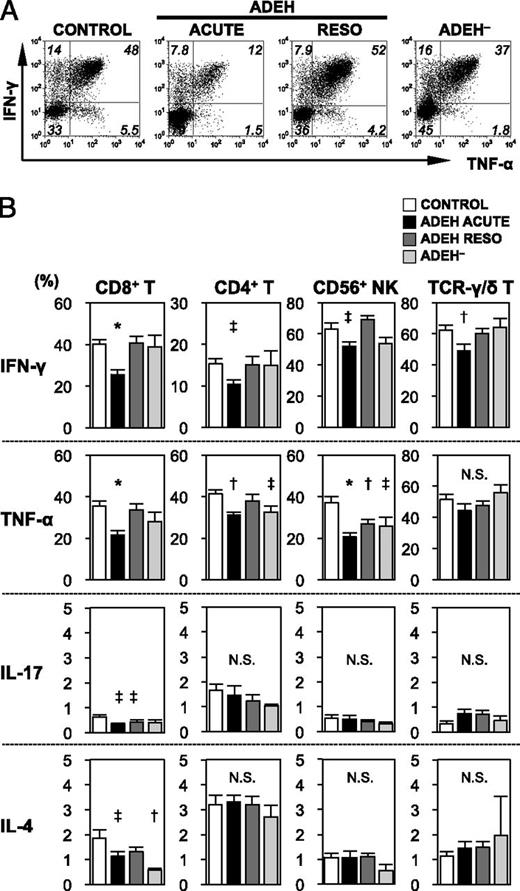 FIGURE 5. Intracellular expression of IFN-γ, TNF-α, IL-17, and IL-4 by CD8+ T, CD4+ T, CD56+ NK, and TCR-γ/δ+ cells from ADEH patients, ADEH− patients, and healthy controls. (A) Representative experiment showing intracellular IFN-γ versus TNF-α dot plots in CD8+ T cells from ADEH and ADEH− patients and healthy controls. (B) Mean percentage of IFN-γ+, TNF-α+, IL-17+, or IL-4+ cells ± SEM in each subset. ADEH (acute stage, n = 9–17; resolution [RESO] stage, n = 9–21), ADEH− (n = 7), and healthy controls (n = 14–35). *p < 0.001, †p < 0.01, ‡p < 0.05 versus healthy controls, Student t test.