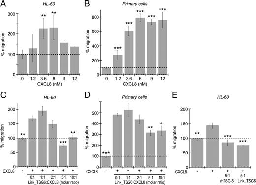 FIGURE 1. TSG-6 inhibits transendothelial migration of differentiated HL-60 cells via interaction of its Link module domain with CXCL8. Migration of differentiated HL-60 cells across a monolayer of EA.hy 926 cells (A) or primary human neutrophils across a monolayer of HUVECs (B) was measured in response to a range of concentrations of WT CXCL8 (1.2, 3.6, 6, 9, and 12 nM) (n = 3). Migration of differentiated HL-60 cells across a monolayer of EA.hy 926 cells was measured in response to (C) CXCL8 (3.6 nM [+]) alone or in combination with Link_TSG6 (at 1:1, 2:1, 5:1, and 10:1 molar ratios) (n = 3–7) or (E) CXCL8 (3.6 nM [+]) alone or in combination with a 5-fold molar excess of Link_TSG6 or rhTSG-6 (n = 3). Migration of primary human neutrophils across a monolayer of HUVECs was determined in response to (D) WT CXCL8 (3.6 nM [+]) alone or in combination with Link_TSG6 (at 1:1, 2:1, 5:1, and 10:1 molar ratios) (n = 3). Data are plotted as mean values (±SEM) relative to nonstimulated controls (−). *p < 0.05, **p < 0.01, ***p < 0.001 compared with non stimulated controls (A, B) or to CXCL8 alone (C–E), as determined using repeated measures ANOVA analysis with a Bonferroni post hoc test. In this and subsequent figures, the dotted line indicates baseline neutrophil migration in the absence of CXCL8 stimulus.