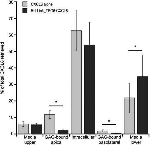 FIGURE 4. TSG-6 inhibits the binding of CXCL8 to endothelial surface GAGs and the transport of CXCL8 across an endothelial cell monolayer. HUVEC monolayers were incubated in Transwells with b-CXCL8 (3 nM), in the absence or presence of Link_TSG6 (15 nM), for 2 h. b-CXCL8, in the media from the upper and lower chambers, bound to GAGs on the apical and basolateral surfaces of the endothelial cells (recovered in 10× PBS) and in the HUVEC lysates (intracellular), was quantified by Western blot analysis using an Odyssey system. Data, represented as a percentage of the total b-CXCL8 recovered, are plotted as mean values (n = 6) ± SEM. *p < 0.05 as determined by pairwise comparison of samples with and without Link_TSG6 using the Student t test.