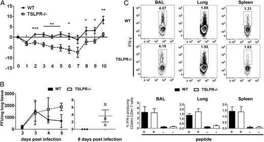 FIGURE 2. TSLPR−/− mice develop more severe disease than do WT mice. (A) WT B6 mice (n = 10) and TSLPR−/− mice (n = 9) were infected i.n. with 1000 PFU x31 and weighed daily. Data are shown as mean percentage change in body weight over time ± SEM. Overall significance in weight change between WT and TSLPR−/− mice was assessed using a two-way ANOVA test (p = 0.0017). Significance between groups at individual time points was assessed using a two-tailed Student t test. Data are representative of two independent experiments. Data are representative of two independent experiments. *p ≤ 0.05, **p < 0.01, ***p < 0.001. (B) WT and TSLPR−/− mice were infected i.n. with 1000 PFU x31. Viral titers were measured by plaque assay at days 2, 3, 4, 6 (left), and 8 (right) p.i. and graphed as PFU/mg lung tissue ± SEM (n = 3 mice/group/d). Data are representative of two independent experiments. (C) Lymphocytes isolated from the BAL, lung, and spleen of WT and TSLPR−/− mice (n = 3/group) at 10 d after x31 infection were stimulated ex vivo in the presence or absence of a class II–restricted HA peptide, and CD4 T cells were assessed for IFN-γ production. The top panels show representative IFN-γ staining in CD4+ (CD44hi) lymphocytes. The bottom panel shows the quantification of these data. Data are representative of two independent experiments.