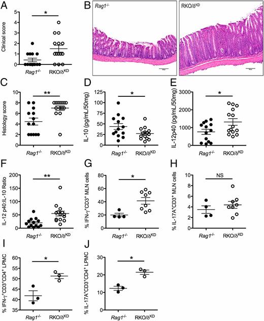FIGURE 8. Adoptive transfer of CD4+CD45RB T cells into Rag1−/−/p110δKD recipient mice leads to severe colitis. Eight-wk-old Rag1−/− (n = 13) and RKO/δKD (n = 14) recipient mice were given 4 × 105 CD4+CD45RBhigh T cells admixed with 2 × 105 CD4+CD45RBlow T cells by i.p. injection to induce colitis, as described in Materials and Methods. Mice were assessed for colitis severity at 24 d after adoptive transfer. (A) Clinical disease activity scores were determined, as described in Materials and Methods. Error bars represent mean ± SEM (*p < 0.05). (B) (original magnification ×20, H&E) Colons from Rag1−/− and RKO/δKD recipient mice were taken for histological evaluation. Representative sections are shown. (C) H&E slides of colonic tissue were scored for colitis severity by a pathologist (L.B.B.) blinded to the experimental groups, as described in Materials and Methods. Error bars represent mean ± SEM (**p < 0.005). (D–F) Supernatants from 24-h colonic tissue explants were collected and assayed for IL-10 (D) and IL-12p40 (E) production by ELISA and are expressed as the amount of cytokine (pg/ml) per 50 mg colonic tissue weight. Error bars represent mean ± SEM (*p < 0.05). (F) IL-12p40 and IL-10 protein levels from colonic tissue explant culture in individual mice were used to determine the ratio of IL-12p40 to IL-10. Error bars represent mean ± SEM (**p < 0.005). (G and H) MLNs from Rag1−/− and RKO/δKD recipient mice were analyzed by flow cytometry for intracellular IFN-γ (G) and IL-17A (H) expression in CD3+CD4+ T cells. Each point on the graphs represents MLN cells from one mouse. Error bars represent mean ± SEM (*p < 0.05). (I and J) LPMCs were analyzed by flow cytometry for IFN-γ (I) and IL-17A (J) expression in CD3+CD4+ T cells. Each point on the graphs represents pooled LPMCs from three mice. Error bars represent mean ± SEM (*p < 0.05).