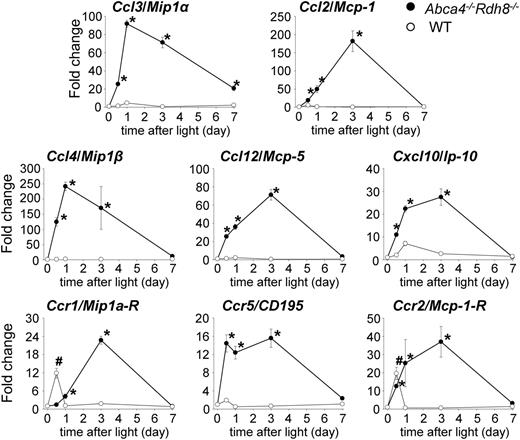 FIGURE 1. Distinct profiles in expression of Ccl3 and Ccl2 in the retina of Abca4−/−Rdh8−/− mice after light exposure. Quantitative RT-PCR was performed with RNA purified from 16 retinas of 4-wk-old Abca4−/−Rdh8−/− and WT mice at each time point. Fold changes in expression to unexposed Abca4−/−Rdh8−/− or WT mice are presented. The expression of each gene was normalized to the housekeeping gene Gapdh. Error bars indicate SD of the means (n = 3). *p < 0.05 versus unexposed Abca4−/−Rdh8−/−mice, #p < 0.05 versus no light exposed WT mice.