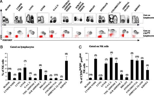 FIGURE 1. Distribution of total NK cells and main NK cell subsets in healthy human tissues. After processing the indicated tissues, tissue-resident MNCs were stained with relevant mAbs and analyzed by cytofluorimetry. (A) Top panel, Representative identification of total CD56+CD3neg cells among CD45+ lymphocytes isolated from the indicated human organs. Bottom panel: representative identification of the two main NK cell subsets (i.e., CD56brightperforinlow and CD56dimperforinhigh cells) gating on CD45+ CD3negCD94+CD19+ lymphocyte population isolated from healthy organs. B cells (in red), which do not express perforin, are depicted to better evaluate the levels of perforin in NK cells. (B) Frequency of total NK cells (identified as CD3negCD56+CD94+ cells) among CD45+ lymphocytes in healthy organs. (C) Frequency of CD56brightperforinlow noncytotoxic NK cells among total NK cells isolated from the indicated organs. In (B) and (C), histogram bars represent mean values and SDs of data obtained analyzing several specimens from distinct individuals. The numbers of samples analyzed for each tissue are reported above bars.