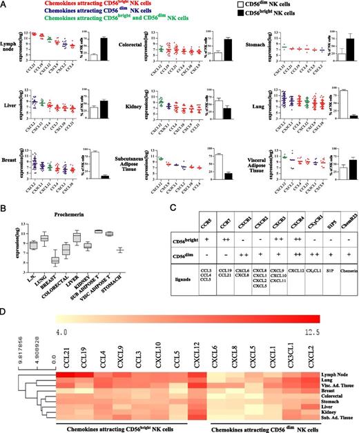 FIGURE 2. Chemokine-expression pattern and NK cell subset frequency in healthy human tissues. Gene expression of chemokines relevant for the recruitment of NK cells were derived from the meta-analysis of publicly available expression data of normal healthy tissues. (A) For each tissue, the six most expressed chemokines are displayed. Relative distribution of CD56brightperforinlow (black bars) and CD56dimperforinhigh (white bars) among total NK cells are also shown for each tissue. (B) Prochemerin gene expression levels in healthy human tissues. (C) Chemotactic receptors expressed by NK cell subsets. For each receptor, the related ligands are indicated. (D) Hierarchical clustering of the microarray data for chemokine gene expression levels of human tissues. Chemokines attracting CD56bright noncytotoxic NK cells are grouped in the left part of the figure. CXCL12 can evenly attract both subsets of human NK cells. −, not expressed; +, expressed; ++, expressed at high levels.