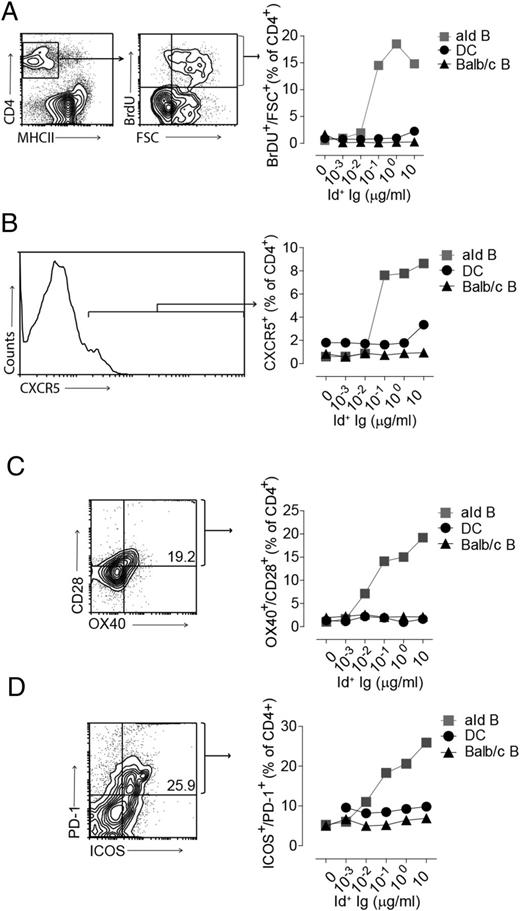FIGURE 6. Anti-Id B cells are more potent APCs than are DCs of Id+ Ig in vitro. Purified naive Id-specific T cells were cultured with purified naive B cells (anti-Id or BALB/c) or purified DCs and titrated amounts of Id+ Ig. Cells were analyzed after ∼66 h of coculture. (A) Proliferation (FSC+/BrdU+) of CD4+ Id-specific T cells. (B) Expression of CXCR5 on CD4+ Id-specific T cells. (C) Expression of CD28 and OX40 on CD4+ Id-specific T cells. (D) Expression of ICOS and PD-1 on CD4+ Id-specific T cells. Representative data from one of two independent experiments are shown.