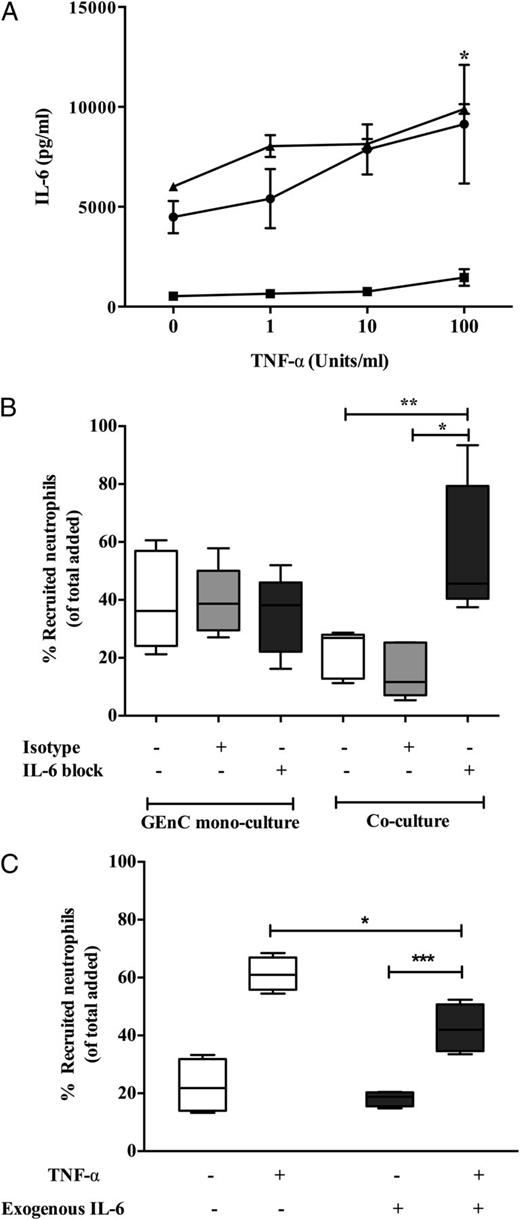FIGURE 4. Role for IL-6 in negative regulation of neutrophil recruitment in cocultures. (A) Detection of IL-6 in supernatants of GEnC and podocyte cocultures (▴) and monocultures of GEnC (▪) and podocytes (●) that were treated with and without TNF-α. Data are means ± SEM (n = 4). Two-way ANOVA shows a significant effect of cytokine treatment on IL-6 production (p < 0.05). *p < 0.05 comparing IL-6 production between cocultures and GEnC monocultures by a Bonferroni post hoc test. (B) Neutralization of IL-6 in cultures by incorporation of 5 μg/ml anti–IL-6 Ab (labeled as IL-6 block) into TNF-α (100 U/ml)–stimulated cultures for 24 h starting from the time of establishing the cocultures. Neutrophil recruitment was assessed at 1 h and is expressed as percentage of cells recruited. Data are represented as minimum to maximum levels of recruitment (n = 5). The effects were compared with an isotype-matched mouse IgG in these experiments. *p < 0.05, **p < 0.001 comparing the effect of IL-6 neutralization with controls by a paired t test. (C) Recapitulation of coculture by addition of exogenous IL-6 in GEnC monocultures (n = 4). *p < 0.05 by Mann–Whitney U test when comparing treatments, ***p < 0.0001 comparing the effect of cytokine treatment by a paired Wilcoxon signed-rank test between treatments within cultures, ***p < 0.0001 comparing the effect of cytokine treatment by a paired Wilcoxon signed rank test between treatments within cultures.