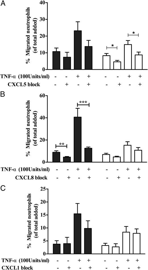 FIGURE 8. Neutralization of CXCL1, CXCL5, and CXCL8 in cocultures and monocultures. Cultures were treated with function neutralizing Abs against (A) CXCL1 (2 μg/ml), (B) CXCL5 (5 μg/ml), and (C) CXCL8 (10 μg/ml) for 24 h prior to addition of neutrophils. Data are means ± SEM (n = 5–6). *p < 0.05, **p < 0.01, ***p < 0.0001 comparing the effect of blocking chemokine function in cultures with their controls by a paired t test.
