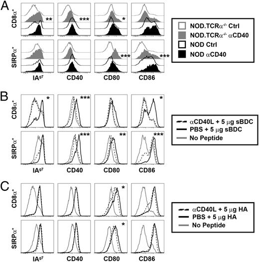 FIGURE 3. CD40/CD40L partially regulates thymic DC phenotype. (A) NOD and NOD.TCRα−/− mice were injected i.p. with 200 μg agonist anti-CD40 or isotype control (Ctrl) mAb, and MHC and costimulatory molecule expression by thymic DC was assessed 16–18 h later. Inset asterisks represent analysis of Ctrl versus anti-CD40. BDC2.5/TCRα−/− mice (B) or CL4.scid mice (C) were treated daily i.p. for 3 d with 250 μg blocking anti-CD40L mAb or PBS. At the time of the final anti-CD40L treatment, they were injected i.v. with 5 μg sBDC (B) or 5 μg HA (C), and thymic DC expression of MHC and costimulatory molecules was measured 16–18 h later. Asterisks within histograms represent analysis of PBS + peptide versus anti-CD40L + peptide. Data are representative of three to five experiments. *p < 0.05, **p < 0.01, ***p < 0.001.