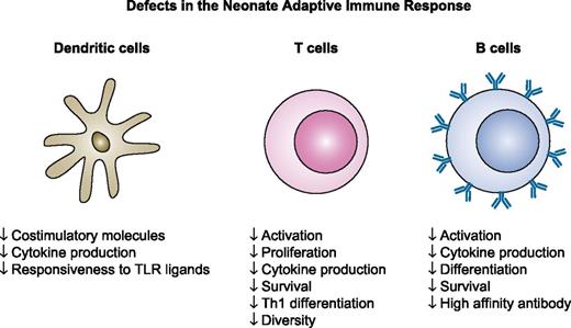 FIGURE 1. Neonates exhibit multiple adaptive immune defects that contribute to poor responses following infection or vaccination. Potent adaptive immune responses are dependent on the capacity of DCs to undergo maturation, together with the robust activation, differentiation, and survival of T and B cells. Defects encompassing a broad range of these attributes have been reported in cells from neonates. As a result, responses following infection and vaccination are qualitatively and quantitatively reduced in these individuals compared with adults.