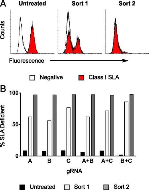 FIGURE 2. gRNA/Cas9 treatment and flow sorting of class I SLA− fibroblast cells. Following gRNA treatment, two successive rounds of flow cytometry sorting yielded class I− SLA cells. A representative example of enrichment is shown (A). When used singly or in combination, all three gRNAs targeting exon 4 were capable of producing cells deficient in class I SLA expression (B).