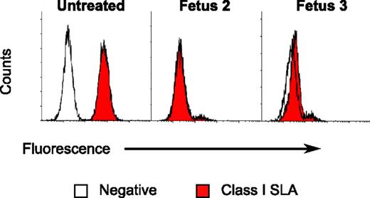 FIGURE 3. Selection of class I SLA− fetal fibroblast cells. SCNT of fibroblasts isolated in Fig. 2 were used to create embryos. Thirty-two days after impregnating a sow with these embryos, three fetuses were collected. Two of the fetuses were well formed and used to create fibroblast cultures. The fibroblasts were stained with a negative isotype control or with and Ab specific for class I SLA. Fetus 3 expressed low levels of SLA protein. Cells derived from fetus 2 were devoid of class I SLA proteins.
