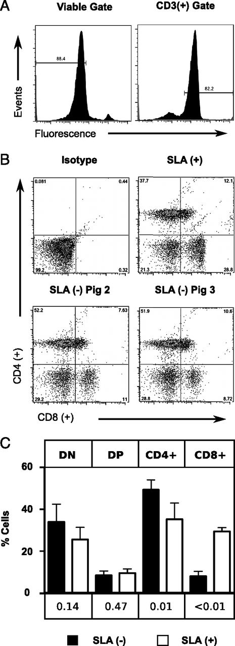 FIGURE 5. Lymphocyte subset analysis of SLA-expressing and SLA-deficient pigs. PBMCs were isolated from a class I SLA+ animal and two cloned pigs devoid of class I SLA molecules. Cells were incubated with a fluorescent viability dye as well as Abs specific for CD3, CD4, and CD8 molecules. (A) Representative histograms demonstrating the gating strategy to select for viable CD3+ cells. (B) CD4 and CD8 expression levels are shown to reveal each T cell subset. An isotype control staining was used to set the gates defining each subset. (C) The analysis of (B) was repeated on four separate PBMC isolations from the SLA+ animal and five separate PBMC isolations from the cloned animals (twice for pig 2 and three times for pig 3). The means and SDs are shown for the various lymphocyte subsets (DN, CD4−CD8−; DP, CD4+CD8+; CD4, CD4+CD8−; CD8, CD4−CD8+). Unpaired t tests were used to compare the frequencies of each cell type in SLA-expressing and SLA-deficient animals. The p values are shown beneath the graph for comparison of the frequency of each subset between SLA+ and SLA− animals.