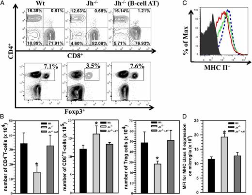 FIGURE 7. B cell replenishment restores T cell levels within chronically infected brains. MCMV-primed splenocytes and lymph node cells from donor BALB/c mice were enriched for CD19+ cells using negative selection. These B cells were then adoptively transferred via tail vein injection into MHC-matched Jh−/− recipients 1 d prior to the infection with MCMV. Wt and Jh−/− mice served as appropriate controls, and brain tissue samples were obtained from each group at 30 d p.i. Brain leukocytes were collected and labeled with PE-Cy5–conjugated Abs specific for PE-Cy5–labeled anti-CD45, AF700-labeled anti-CD11b, eFluor 450–labeled anti-CD4, PE-Cy7–labeled anti-CD8, FITC-labeled anti-Foxp3, and allophycocyanin-Cy7–labeled anti–MHC II and analyzed using flow cytometry. (A) Representative contour plots showing the percentages of CD4+, CD8+ (top panel), and CD4+Foxp3+ T cells (bottom panel) in the infiltrating CD45hi population within the infected brains from each group. (B) The absolute numbers of CD4+, CD8+ and CD4+Foxp3+ T cells were also determined among the brain-infiltrating CD45hi cells from Wt, Jh−/−, and Jh−/− with B cell AT animals. Pooled data obtained from three independent experiments are presented (n = 5/group). *p < 0.05 Jh−/− + AT versus Jh−/−. (C) Histogram overlays from isotype (gray shaded), Wt (red solid), Jh−/− (blue dashed), and Jh−/− mice that received CD19+ cells (green dotted) are shown for MHC II upregulation on CD45intCD11b+ resident microglia. (D) Data presented show MFI of MHC II binding from Wt, Jh−/−, and Jh−/− + AT mice (n = 5/group). *p < 0.01, Jh−/− + AT versus Jh−/−.