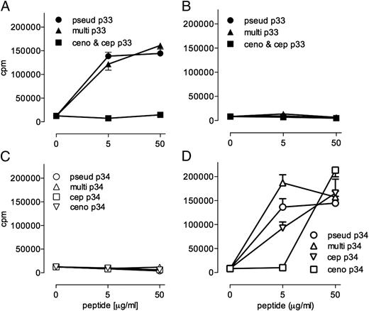FIGURE 5. T cell cross-reactivity between FliC of Burkholderia species. T cell hybridomas FliC hybrid 1.20 (specific for FliC peptide 33; A, C) and 2.19 (specific for FliC peptide p34; B, D) were assayed for recognition of 5 or 50 μg/ml analog FliC peptides 33 (A and B) or 34 (C and D) from B. multivorans, B. cepacia, and B. cenocepacia (see Supplemental Table II) using bone marrow–derived macrophages treated with IFN-γ as APC. Responses were detected by [3H]thymidine incorporation (cpm) into the IL-2–dependent CTLL-2 cell line in the presence of hybridoma supernatants as described in Materials and Methods.