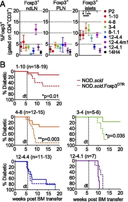 FIGURE 6. Deletion of Foxp3+ CD4+ T cells in insulin TCR retrogenic mice leads to accelerated diabetes development in higher affinity TCRs. (A) Foxp3+ T cells accumulate in the pancreatic islets of TCR retrogenic mice; frequency of Foxp3+ T cells was assessed in LNs and pancreatic islets of TCR retrogenic mice 8 wk post–bone marrow transfer. Analysis shown is for at least five mice per group. (B) TCR retrogenic mice were generated with NOD.scid or NOD.scid.Foxp3DTR bone marrow. Frequency of peripheral CD4+Ametrine+TCR+ T cells was used to verify equal reconstitution between groups. Mice were treated with diphtheria toxin twice a week starting at 5.5 wk post–bone marrow transfer and monitored for diabetes development.