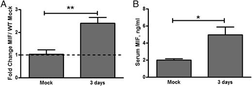 FIGURE 2. Pneumococcal colonization leads to local upregulation and systemic production of MIF in WT mice. Upper respiratory tract lavages were obtained 3 d after inoculation using RNA lysis buffer. RNA was isolated and reverse transcribed, and MIF expression level was measured by quantitative RT-PCR relative to GAPDH controls. Baseline MIF expression and MIF upregulation after colonization was noted in WT (A). Serum was obtained by cardiac puncture at 3 d postcolonization and analyzed for MIF by specific ELISA. Increased circulating MIF was noted in WT mice (B). Values are relative to mock-colonized WT mice ± SD (n ≥ 10 mice/group). *p < 0.05, **p < 0.01, unpaired t test.