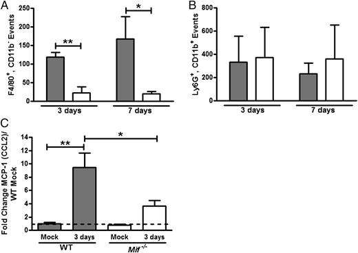 FIGURE 3. MIF is required for the macrophage influx and MCP-1 upregulation in response to pneumococcal colonization. Upper respiratory tract lavages were obtained 3 and 7 d after inoculation, and the composition of the cellular infiltrate was determined by flow cytometry. Numbers of macrophages (F4/80+,CD11b−, A) and neutrophils (Ly6G+,CD11b+, B) are shown in WT (gray bars) and Mif−/− mice (white bars). Each bar represents the average number of events ± SD in four experiments, each with five mice. MCP-1 upregulation in the WT mice was demonstrated by quantitative RT-PCR of RNA from nasal lavages and found to be reduced in the Mif−/− mice (C). RT-PCR values are relative to mock-colonized WT mice ± SD (n ≥ 10 mice/group). *p < 0.05, **p < 0.01, Mann–Whitney U test or unpaired t test.