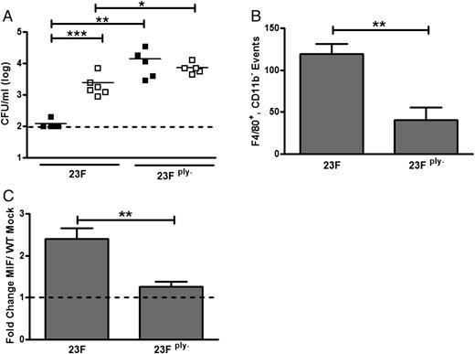 FIGURE 4. Pneumolysin mediates the effect of MIF on pneumococcal colonization. Colonization experiments were performed in WT (▪) and Mif−/− (□) mice using 107 CFU strain 23F and strain 23Fply−. Nasal lavage was obtained at 14 d. 23Fply− (pneumolysin-deficient) pneumococci colonized both WT and Mif−/− mice to a greater degree than 23F. The MIF-dependent defect in pneumococcal clearance was eliminated in the absence of pneumolysin (A). Macrophage influx, quantified by flow cytometry, was greater in WT mice colonized with strain 23F compared with 23Fply− (B). MIF upregulation, assessed using quantitative RT-PCR of nasal lavage, was present in strain 23F colonization and absent in and 23F ply− colonization (C). Flow cytometry, mean ± SD, n = 5 mice/experiment, four experiments. RT-PCR, relative to mock-colonized WT mice ± SD, n ≥ 10 mice/group. y-axis units depicting colony-forming units per milliliter are on a log-base 10 scale. *p < 0.05, **p < 0.01, ***p < 0.001, Mann–Whitney U test or unpaired t test.