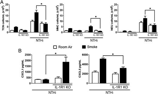 FIGURE 4. Cigarette smoke–exacerbated neutrophilia is dependent on IL-1 signaling. Wild-type C57BL/6 and IL-1R1 KO mice were exposed to 8 wk of cigarette smoke and infected with 106 CFU NTHi. Cellular inflammation was assessed in BAL fluid (A) and CXCL1 and CXCL5 were measured in the BAL fluid (B) by ELISA. Data represent mean ± SEM, and statistical analysis was performed using General Linear Model, followed by individual t test. n = 5–10. *p < 0.05.