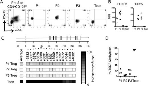 FIGURE 2. The epigenetic footprint of Tregs is not limited to the CD25hiFOXP3hi CD4+ T cell compartment. CD4+ T cells were isolated from a JIA SFMC sample, stained for CD4, CD25, and CD127, before fixation and staining for FOXP3. Cells were then sorted into four populations based on CD25 and FOXP3 expression. (A) Representative sort displaying the presort staining (far left, gated on CD4+CD127lo T cells) and postsort purities (right four plots). The cellular phenotypes were further analyzed for FOXP3 and CD25 protein expression levels. (B) Summary plots of MFI data (n = 3–4): △, P1 Treg; ●, P2 Treg; □, P3 Treg; ×, Tcon. (C) TSDR methylation rates were determined in the sorted populations from one patient (patient 24) and are presented as heat maps plus region average. (D) Summary of the mean TSDR methylation rates in P1–P3 Tregs and Tcons in the four patients studied (patients 5, 9, 24, and 28). P1 Tregs, n = 3 (amplification of the TSDR from P1 Tregs in patient 9 was unsuccessful); P2 Tregs, n = 4; P3 Tregs, n = 3 (patient 5 was excluded from analysis based on a purity of <50%); and Tcons, n = 4. Bars represent the median values.