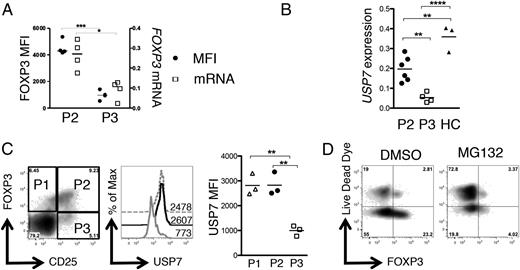 FIGURE 6. Decreased FOXP3 mRNA and expression of USP7 in P3 Tregs. RNA was extracted from P2- and P3-enriched Treg populations and converted to cDNA. (A) FOXP3 protein MFIs (●) and mRNA levels of FOXP3 (relative to GAPDH) (□) in P2- and P3-sorted subsets (n = 4). (B) Relative levels of USP7 mRNA were analyzed by RT-PCR in P2-enriched Tregs (n = 6), P3-enriched Tregs (n = 4), or healthy control Tregs (n = 3). (C) Left, Flow cytometry plot showing CD25 versus FOXP3 staining gated on CD4+ T cells in a SF sample, with gates for P1, P2, and P3 Tregs. Center, Histogram overlay showing USP7 staining in P1 (gray dashed line), P2 (black line), or P3 Tregs (gray line). Numbers represent MFIs (n = 3). Right, Summary data showing MFI. (D) To examine FOXP3 degradation, P3-enriched SF Tregs were cultured for 24 h in the presence/absence of 5μM proteasome inhibitor MG132. Expression of FOXP3 versus Live/Dead dye was analyzed by flow cytometry. Statistical analysis performed by a Mann–Whitney U Test (A) or a one-way ANOVA with a Bonferroni multiple comparisons test (B and C). *p < 0.05, **p < 0.01, ***p < 0.001, ****p < 0.0001.