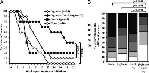 FIGURE 9. Treatment using β-glucan and β cell Ag resulted in better protection of NOD mice from hyperglycemia as compared with treatment with β-glucan or β cell Ag alone. Twelve-week-old euglycemic female NOD mice were left untreated (control) or treated with β-glucan (i.v.; on days 1, 3, 5, 13, 15, and 17 with 5 μg/mouse/d). Some groups of animals received β cell Ag on days 5 and 17. (A) Mice were checked every week for hyperglycemia, and a blood glucose level of 250 mg/dl for 2 consecutive weeks was considered diabetic. A log-rank test was performed to compare hyperglycemia incidence in β-glucan– and β-glucan plus β cell Ag–treated groups with control, and the p value is shown on each graph. The group that received β cell Ag was also compared with control mice. (B) One set of treated and control mice from parallel experiments were euthanized 4 wk after the last injection. Pancreatic tissues were processed for H&E staining to evaluate insulitis as described above for Fig. 2. The islets with representative insulitis grades and percentages of islets with different grades of insulitis plotted as bar diagram are shown. Sections of pancreatic tissues from at least five mice per group were examined for insulitis, and insulitis scores of at least 150 islets/group were plotted as a bar diagram.