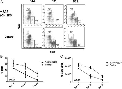 FIGURE 4. Monocytes develop at the cost of NK development in the presence of 1,25(OH)2D3. (A) Results from a representative donor showing an increase in the percentage monocytes and a decrease in the percentage of CD56+ cells when HSCs were cultured in the presence of 1,25(OH)2D3. (B and C) Cumulative data showing the percentage (p < 0.01) and absolute numbers on monocytes in cultures containing 1,25(OH)2D3 (n = 4, p < 0.05).