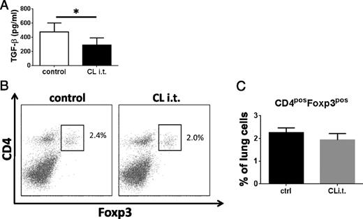 FIGURE 2. Depletion of rAMs reduces TGF-β levels but does not affect Treg percentage in the lungs. (A) TGF-β levels were measured in BALF by ELISA in asthmatic mice subjected to depletion of rAMs. Data are expressed as the mean ± SEM from four experiments with two to three mice per group.*p < 0.05. (B) Lungs from asthmatic mice treated with i.t. liposomal clodronate (CL) or empty liposomes (control) were lavaged, perfused, and processed to obtain single-cell suspensions, as described in Materials and Methods. Gates were set to remove debris, then set on low side scatter, and Fixable Viability Dye eFluor 450 staining was used to eliminate dead cell contamination. Representative dot-plot shows CD4 and Foxp3 staining, with statistical analysis of CD4posFoxp3pos cell population. (C) Mice were treated as described in (B), and data are expressed as the mean ± SEM from three experiments, each using three mice.