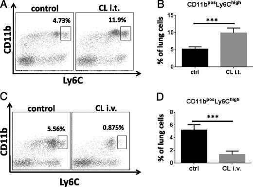 FIGURE 3. Recruitment of Ly6Chigh monocytes in asthma. (A) Lungs from asthmatic mice treated with i.t. liposomal clodronate (CL) or empty liposomes (control) were lavaged, perfused, and processed to obtain single-cell suspensions, as described in Materials and Methods. Gates were set to remove debris, then set on low side scatter, and Fixable Viability Dye eFluor 450 staining (viability dye) was used to eliminate dead cell contamination. Representative dot-plots show the Ly6ChighCD11bpos population denoted within the gates. (B) Statistical analysis of Ly6ChighCD11bpos cell populations in lung digests following i.t. administration of liposomal clodronate versus control liposomes. Data presented as the mean ± SEM from four experiments, each using two to three mice per group. ***p < 0.001. (C) Lung digests from mice treated with i.v. clodronate or control liposomes were processed for staining and gated as described above. Representative dot-plots show the Ly6ChighCD11bpos population denoted within the gates. (D) Statistical analysis of Ly6ChighCD11bpos cell populations in lung digests following i.v.administration of liposomal clodronate versus control liposomes. Data presented as the mean ± SEM from three experiments, each using two to three mice per group. ***p < 0.001.