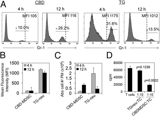 FIGURE 2. Comparison of in vivo cellular response to CBD and TG. WT mice (n = 3) were injected (i.p.) with CBD (10 mg/kg) or 0.5 ml 3% TG. Peritoneal exudate cells were harvested at 4 or 12 h postinjection and analyzed side-by-side by FACS for Gr-1 (Ly6-G) expression with same voltage settings. Representative histograms are shown (A). (B) Mean fluorescence intensities (MFI) for Gr-1 expression. (C) Absolute cell numbers per peritoneum for CBD-MDSC (Gr-1int) and TG-neutrophils (Gr-1high). (D) Syngenic lymph node–derived T cells were stimulated with Con A and cocultured without or with enriched Gr-1+ cells. Data represent mean ± SD from three mice (B and C) or from triplicate determinations (D).