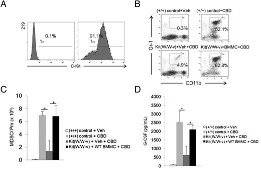 FIGURE 8. Adoptive transfer of WT mast cells restores CBD response in mast cell–deficient mice. BM-derived mast cells (BMMC) were generated by culturing WT BM cells in the presence of mouse rIL-3 and stem cell factor, as described in Materials and Methods. Purity of BMMC after 5 wk of culture, as determined by FACS analysis for c-Kit expression. (A) Left histogram, isotype control IgG; right histogram, c-Kit Ab. BMMC (6 × 106) were adoptively transferred i.v. into mast cell–deficient KitW/W-v mice. Littermates (+/+) were used as WT controls. Mast cells were allowed to engraft, and, 6 wk after transfer, mice with or without adoptively transferred mast cells were injected with vehicle or CBD (i.p.). After 16 h, peritoneal exudate cells were analyzed by flow cytometry (B and C). Peritoneal lavage fluids were analyzed for G-CSF by ELISA (D). Data represent mean ± SD (n = 3 mice per group). Student t test: *p < 0.05. Successful engraftment of adoptively transferred mast cells was determined by Giemsa staining (Table I).