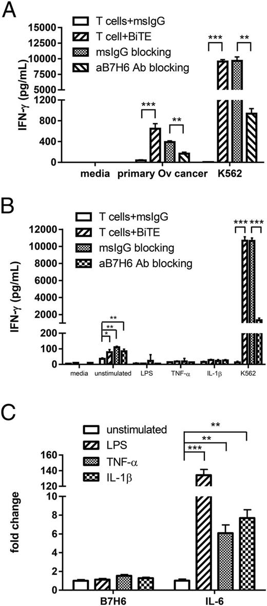 FIGURE 2. B7H6-specific BiTEs trigger T cells to produce IFN-γ to primary human ovarian cancer but not proinflammatory monocytes. (A) Activated human T cells were cocultured with primary human ovarian cancer cells or K562 at an E:T ratio of 1:1 in the presence of murine IgG or B7H6-specific BiTE (250 ng/ml). Blocking experiments were done by preincubating tumor samples with 10 μg of murine IgG or anti-B7H6 mAbs for 45 min before coculturing. Cell-free medium was harvested after 24 h, and IFN-γ concentration was determined by ELISA. Data shown are mean + SD of triplicate wells and are representative of two independent experiments with different T cell donors. (B) Activated human T cells were cocultured with unstimulated PBMCs or LPS-, TNF-α–, or IL-1β–stimulated autologous PBMCs in the presence of murine IgG or B7H6-specific BiTE protein. Blocking experiments were done by preincubating target cells with 5 μg of murine IgG or anti-B7H6 mAbs for 45 min before coculturing. Cell-free medium was harvested after 24 h, and IFN-γ concentration was determined by ELISA. Data shown are representative of four PBMC donors. (C) Unstimulated or LPS-, TNF-α–, or IL-1β–stimulated PBMCs were harvested after 4 h of stimulation. The amounts of IL-6 and B7H6 mRNA in each sample were measured by quantitative real-time PCR. The amount of mRNA in the unstimulated PBMCs is set to 1. Data shown are representative of two PBMC donors. *p < 0.05, **p < 0.005, ***p < 0.0001.