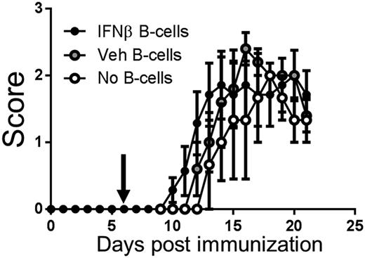 FIGURE 6. Adoptive transfer of B cells from IFN-β–treated EAE does not protect mice from EAE. Effect of adoptively transferred B cells on EAE. A total of 20 × 106 B220+ cells from either IFN-β– (n = 7) or vehicle-treated mice (n = 5) were transferred into recipient mice on EAE day 6 (injection of B cells are indicated by arrow). EAE progression was compared with mice that did not receive B cells (n = 3).