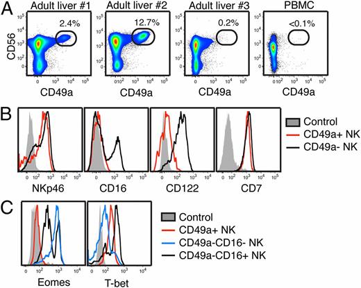 Cutting Edge: Identification and Characterization of Human Intrahepatic ...
