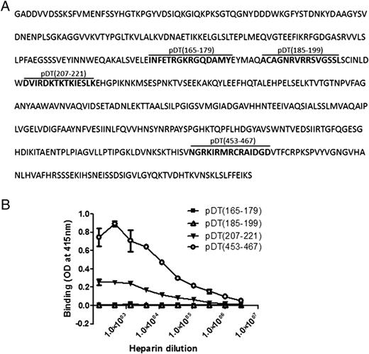 FIGURE 1. DT has four regions containing clusters of basic residues (BXBXBXB, BBXB, or BXBB patterns). (A) Sequence of DT and of pDT(165–179), pDT(185–199), pDT(207–221), and pDT(453–467). (B) Binding of heparin to pDT(165–179), pDT(185–199), pDT(207–221), and pDT(453–467). Each peptide was coated on microplates. Serial dilutions of biotin-labeled heparin were added and binding was determined using streptavidin coupled to peroxidase and ABTS as substrate. Results are expressed as OD ± SD and each point corresponds to the mean of duplicates. Similar results were obtained in at least two independent experiments.