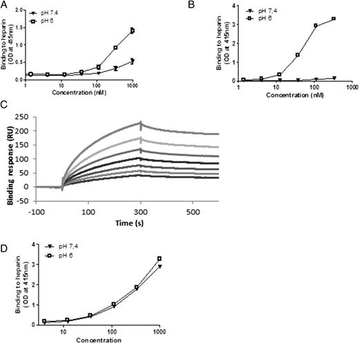 FIGURE 2. DT and CRM197 bind heparin in a pH-dependent manner. Serial dilutions of DT (A) or CRM197 (B) were incubated with heparin in 0.1 M phosphate buffer at pH 7.4 or pH 6. Solutions were transferred to microplates coated with streptavidin. Binding was determined using a rabbit anti-DT Ab, an anti-rabbit F(ab′)2 coupled to peroxidase, and ABTS as substrate. Results are expressed as OD ± SD. Similar results were obtained in at least two independent experiments. (C) Seven hundred fifty, 500, 333, 222, 148, and 98 nM CRM197 (from top to bottom) was injected over an HS functionalized surface, and binding signals were measured as a function of time (0–300 s, association phase; 300–600 s, dissociation phase) by surface plasmon resonance. (D) Serial dilutions of ZZDTR-BD were incubated with heparin in 0.1 M phosphate buffer at pH 7.4 or pH 6. Solutions were transferred to microplates coated with streptavidin. Binding was determined using rabbit IgG, an anti-rabbit F(ab′)2 coupled to peroxidase, and ABTS as substrate. Results are expressed as OD ± SD. Similar results were obtained in at least two independent experiments