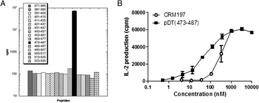 FIGURE 6. T4B6 hybridoma characterization. (A) A fixed amount (1 μM) of a series of overlapping peptides covering the DTR-BD sequence was incubated with A20 cells and the T4B6 hybridoma for 24 h at 37°C. (B) Serial dilutions of CRM197 or pDT(473–487) were incubated with A20 cells and the T4B6 hybridoma for 24 h at 37°C. IL-2 secretion was determined using an IL-2–dependent cell line. Results are expressed as cpm ± SD.