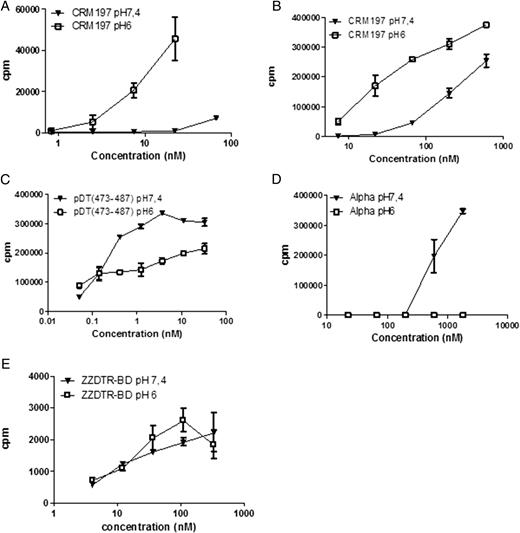 FIGURE 7. T4B6 stimulation is increased when CRM197 is incubated at pH 6. Serial dilutions of CRM197 (A and B), peptide pDT(473–487) (C), non–HS-binding toxin α (D), or pH-independent HS-binding protein domain ZZDTR-BD (E) were incubated at pH 7.4 or pH 6 for 3 h at 37°C. A20 cells were added at the same pH. After 3 h at 4°C (A) or 37°C (B–E), cells were washed and the T4B6 cells were added for 24 h. IL-2 secretion was determined using an IL-2–dependent cell line. Results are expressed as cpm ± SD. Similar results were found in two independent experiments.