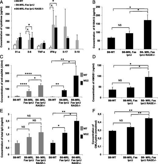 FIGURE 2. RAGE deletion exacerbates autoimmunity and inflammation in B6-MRL-Fas lpr/J mice. (A) Multiplex dosage analysis of cytokines by cytometric bead array (CBA) in sera collected from age- and sex-matched mice; B6-WT (n = 3), B6-MRL-Fas lpr/J (n = 10), and B6-MRL-Fas lpr/J RAGE−/− (n = 7). (B) Serum concentrations of S100A12 were assessed by ELISA. Sera were collected from age- and sex-matched mice; B6-WT (n = 4), B6-MRL-Fas lpr/J (n = 7), and B6-MRL-Fas lpr/J RAGE−/− (n = 5). (C) Serum concentrations of anti-dsDNA were assessed by ELISA. Sera were collected from sex- and age-matched mice. At 7 mo old, B6-WT (n = 13), B6-MRL-Fas lpr/J (n = 13), and B6-MRL-Fas lpr/J RAGE−/− (n = 12), and at 12 mo old, B6-WT (n = 4), B6-MRL-Fas lpr/J (n = 5), and B6-MRL-Fas lpr/J RAGE−/− (n = 5). (D) Serum concentrations of HMGB1 were assessed by ELISA. Sera were collected from sex- and age-matched mice; B6-WT (n = 3), B6-MRL-Fas lpr/J (n = 6), and B6-MRL-Fas lpr/J RAGE−/− (n = 5). (E) Serum concentrations of total IgG were assessed by ELISA. Sera were collected from sex- and age-matched mice. At 7 mo old, B6-WT (n = 5), B6-MRL-Fas lpr/J (n = 6), and B6-MRL-Fas lpr/J RAGE−/− (n = 5), and at 12 mo old, B6-WT (n = 5), B6-MRL-Fas lpr/J (n = 8), and B6-MRL-Fas lpr/J RAGE−/− (n = 7). (F) Data are shown as mean ± SEM. Statistical significance was assessed using the Mann–Whitney U test, *p < 0.05, **p < 0.005, ****p < 0.001.