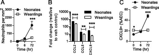 FIGURE 4. LPS-induced neutrophilia is greater in neonatal than weanling mice. (A) Number of Ly6G+ neutrophils in lung sections from LPS-exposed wild-type BALB/c neonates and weanlings. (B) mRNA expression in the lungs of wild-type BALB/c neonates and weanlings 6 h post-LPS exposure was determined by quantitative PCR. The expression of each gene in age-matched vehicle controls was normalized to 1. (C) Lung sections from LPS-exposed neonatal and weanling mice were probed with anti-CXCL9, and the percentage of immunoreactive AECs was quantified. Data are the mean ± SEM of one representative experiment (n = 5–6 mice per group) performed twice. *p < 0.05, **p < 0.01, ***p < 0.001 analyzed by two-way ANOVA with Bonferroni posttest or Student t test, as appropriate.