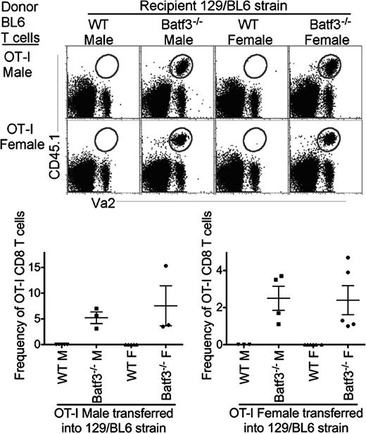 Cutting Edge Roles for Batf3Dependent APCs in the Rejection of Minor