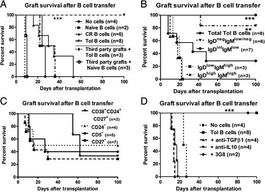 FIGURE 1. Mechanisms and subpopulations of splenic B cells transferring tolerance. (A) Survival curves (%) of donor-type or third-party allografts (n ≥ 3; ***p < 0.001) from sublethally irradiated but immunocompetent recipients transferred with 10 × 106 spleen B cells from naive, chronically rejected (CR), or tolerant (Tol) recipients harvested at day 100 after transplantation. (B–D) Survival curves (%) of donor-type allografts (n ≥ 3; **p < 0.01, ***p < 0.001) from sublethally irradiated but immunocompetent recipients transferred with enriched subpopulations of spleen B cells from tolerant recipients harvested at day 100 after transplantation as follows: (B) transitional 1 IgDlowIgMhigh, transitional 2 IgDhighIgMhigh, naive IgDintIgMlow, or activated/memory cells IgD−IgMlow/− (5 × 106), (C) CD38+CD24+CD27+ (1 × 105) or CD5−, CD27−, or CD24− (5 × 106) B cells, or (D) total B cells (10 × 106) with anti-CD16 (3G8) irrelevant or neutralizing anti–TGF-β1 or anti–IL-10 Abs as described in Materials and Methods.